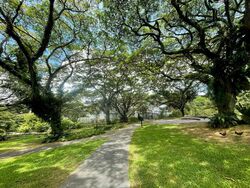 Pasir Ris Beach Park (D18), Semi-Detached #496784361